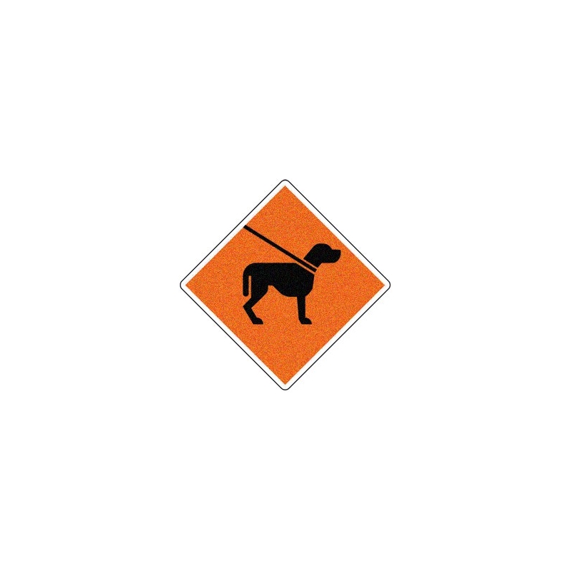 Chiens en laisse Chiens en laisse