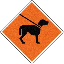 Chiens en laisse